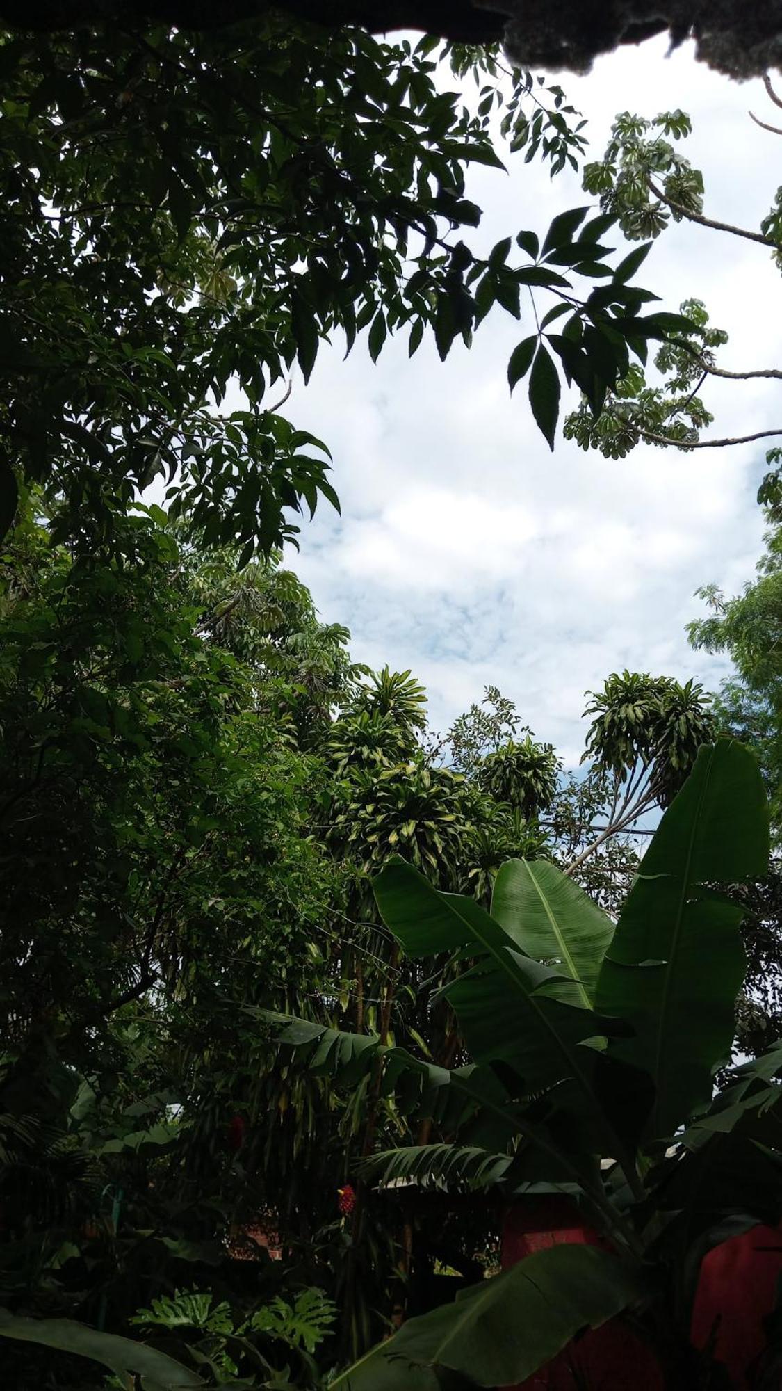 Posada Maria Iguazu プエルト・イグアス エクステリア 写真