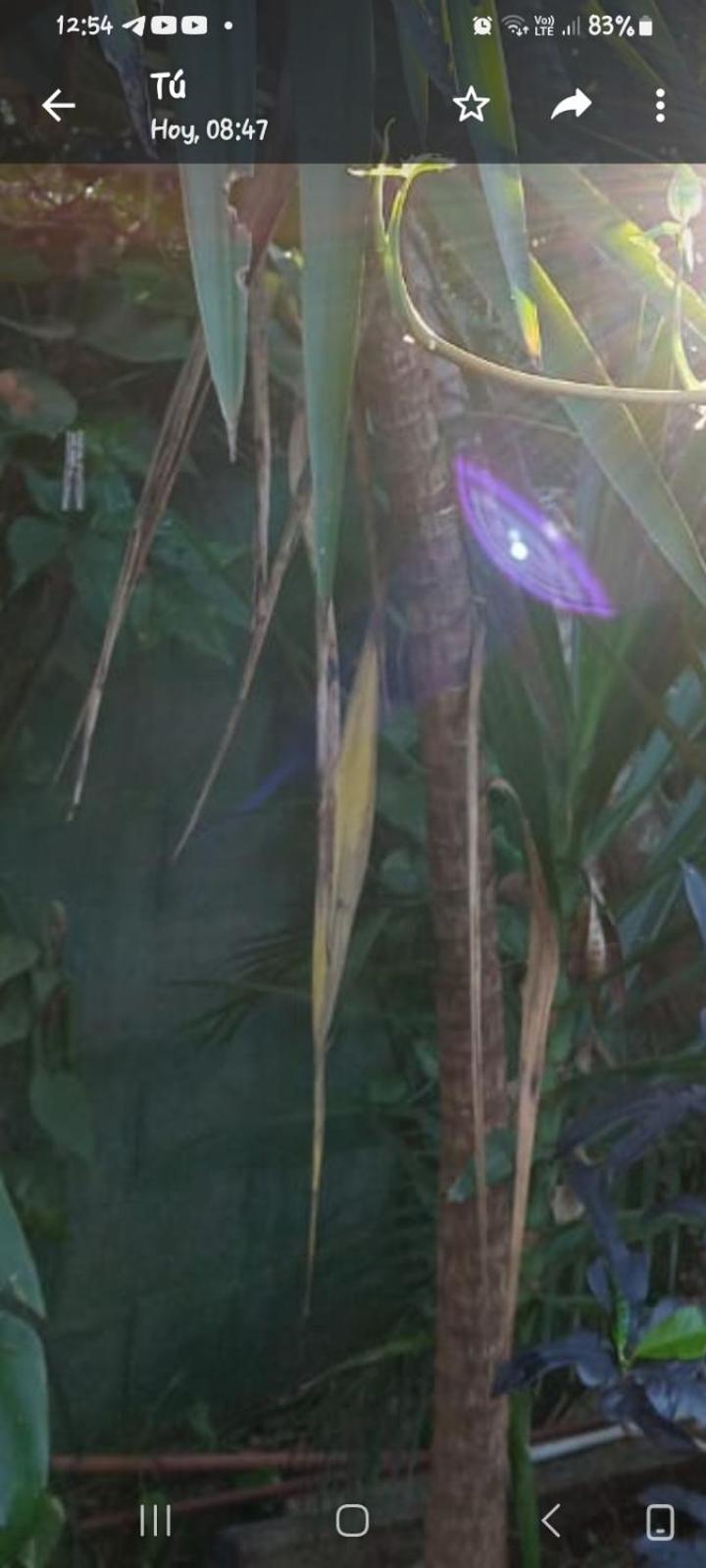 Posada Maria Iguazu プエルト・イグアス エクステリア 写真