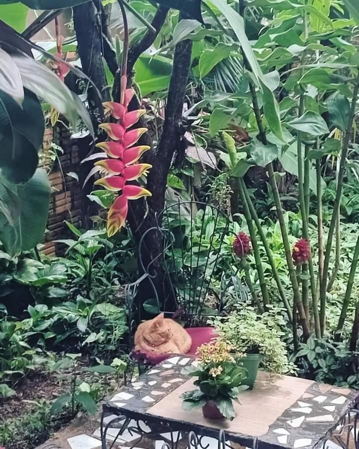 Posada Maria Iguazu プエルト・イグアス エクステリア 写真