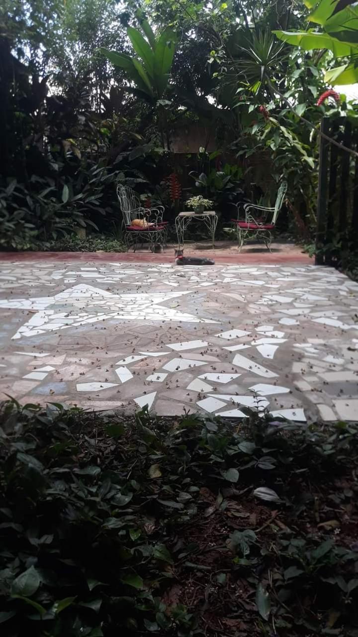 Posada Maria Iguazu プエルト・イグアス エクステリア 写真